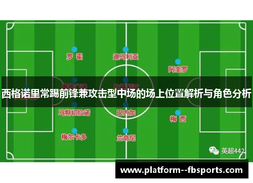 西格诺里常踢前锋兼攻击型中场的场上位置解析与角色分析