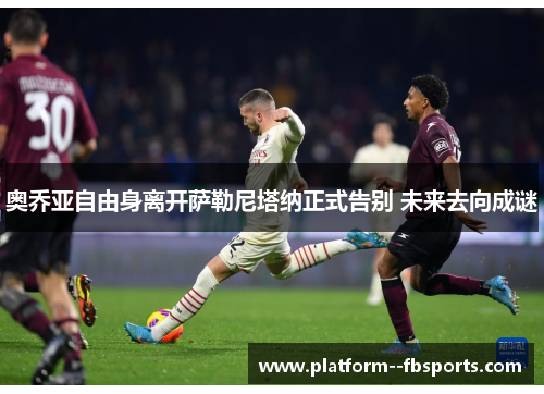 奥乔亚自由身离开萨勒尼塔纳正式告别 未来去向成谜 奥乔亚自由身离开萨勒尼塔纳正式告别 未来去向成谜