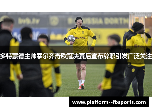 多特蒙德主帅泰尔齐奇欧冠决赛后宣布辞职引发广泛关注