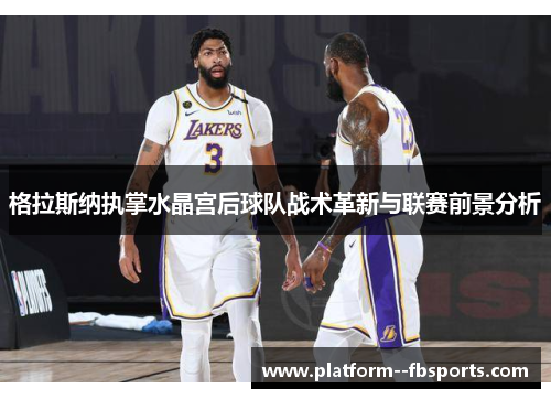 格拉斯纳执掌水晶宫后球队战术革新与联赛前景分析 格拉斯纳执掌水晶宫后球队战术革新与联赛前景分析